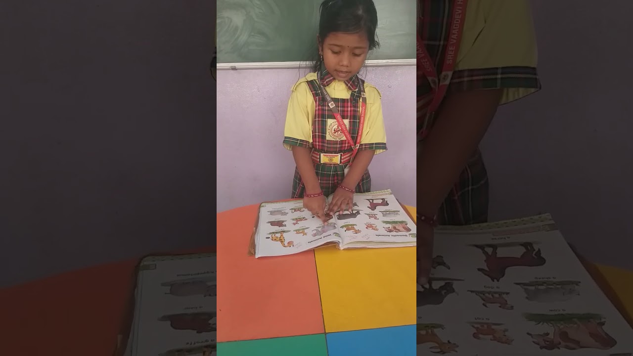 My little charm textbook reading 