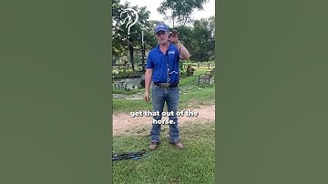 Quick Tips On Transitioning From A Halter To A Bit! Part 6!  | The Horse Guru - Michael Gascon