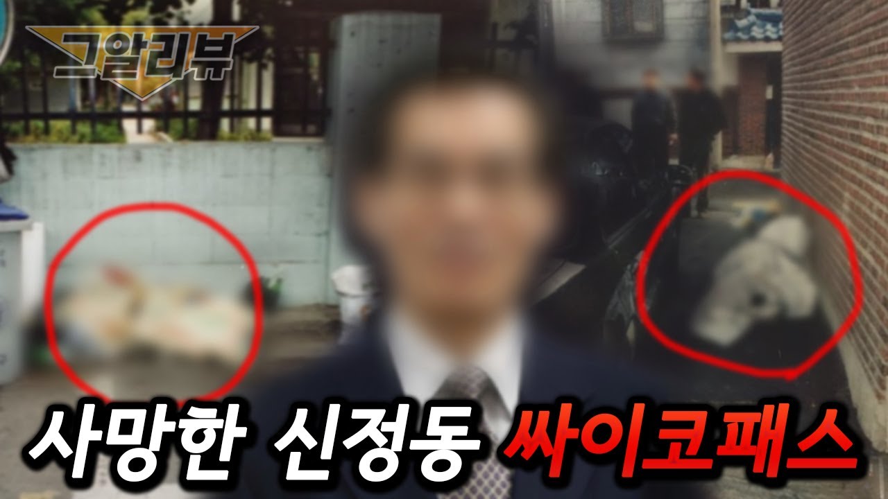 신정동 연쇄살인범은 Emi 뒤진 새끼였습니다