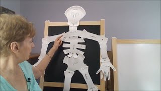 Label A Craft - Build A Skeleton - Example of a Flashcard Alternative - Parent's Introduction
