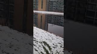 Snow In The Netherlands