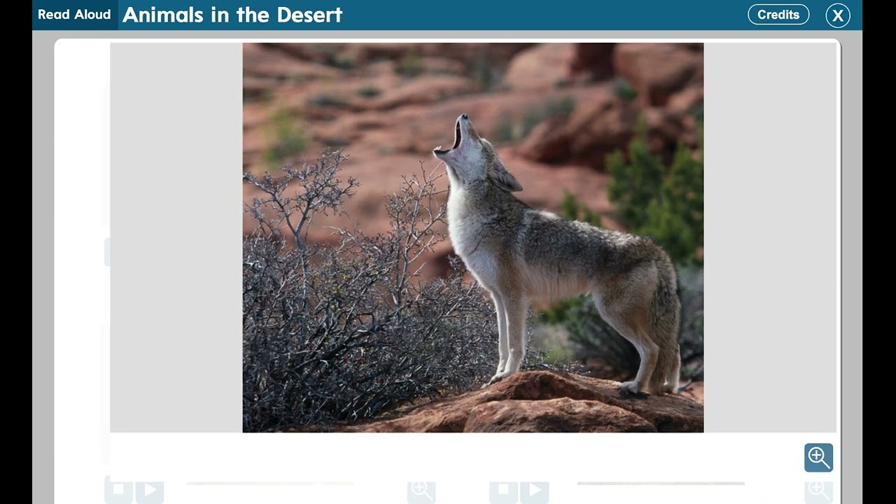 First Grade Wonders Interactice Read Aloud Animals in the Desert - YouTube