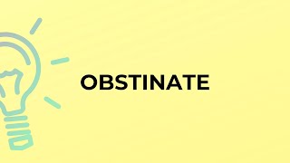 What is the meaning of the word OBSTINATE?