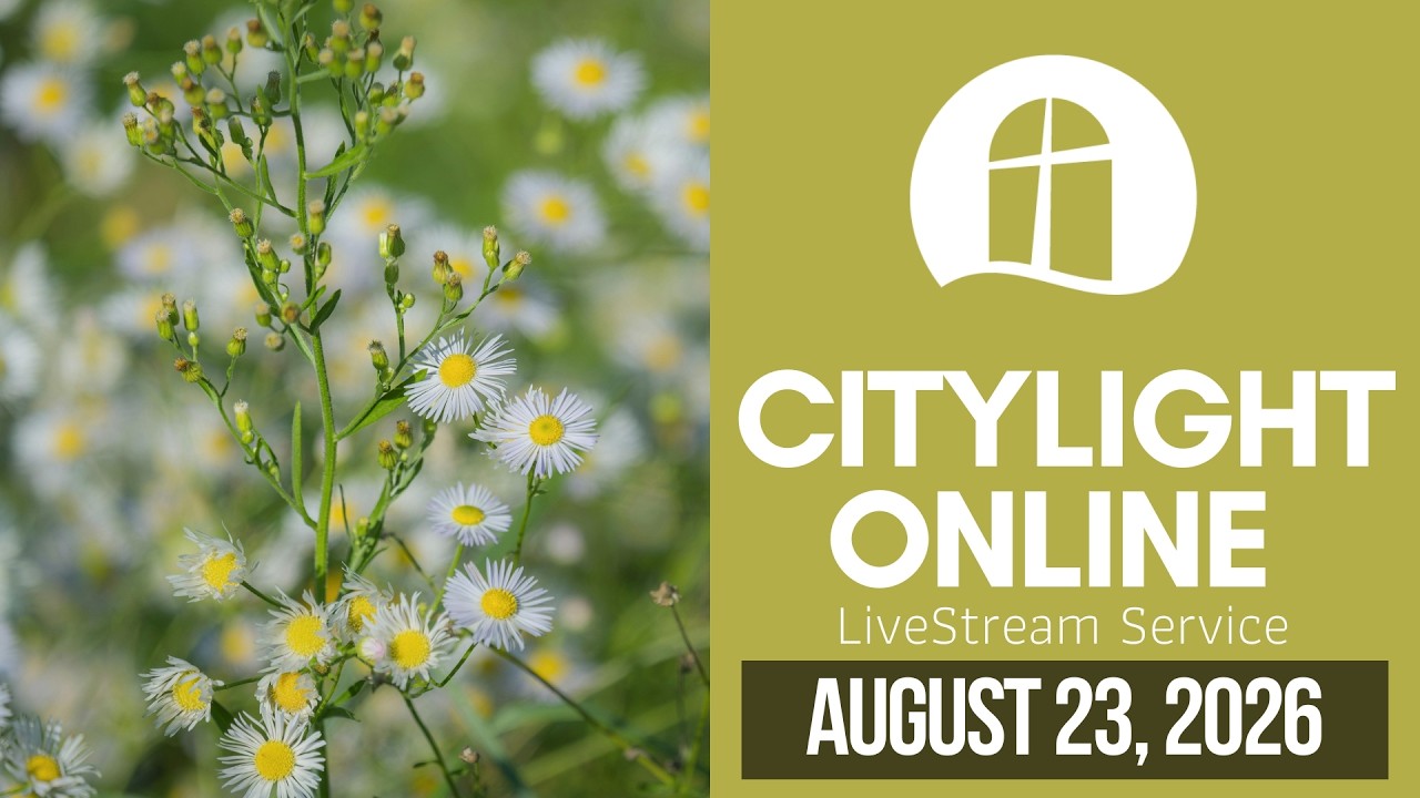 CityLight Online: August 23, 2026