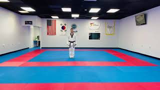 KIBON SA JANG (Tiny Tigers First 8 movements Green stripe) Jr.class Orange High full form