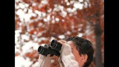 TIP (Technology Integration Planning) Model