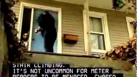 Meter Readers, Utilities