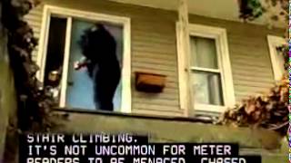 Meter Readers, Utilities