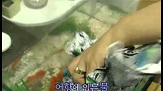 위기탈출 넘버원 - Crisis Escape No1 20090928  #001