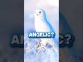 4 ANGELIC ANIMALS That Look Too Pure To Be Real ❄️