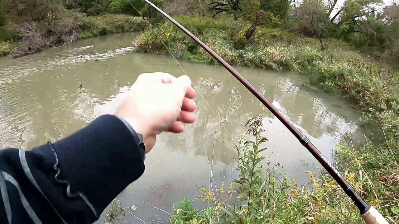West Humber River Fishing Tryout - YouTube