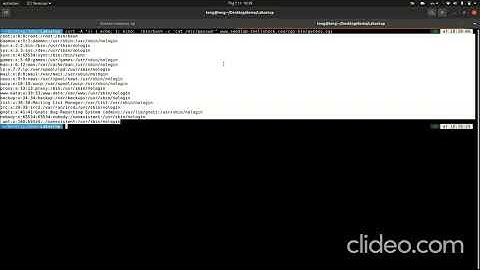 Shell Shock Attack Lab Demo By Group 14