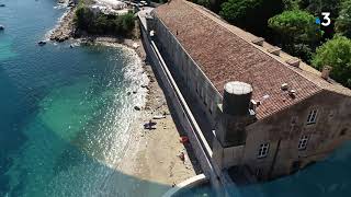 A Villefranche-Sur-Mer, Les Chercheurs Tentent De Percer Les Mystères De La Régénération Cellulaire