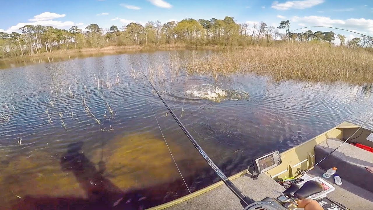 Bed Fishing For Bass In Shallow Clear Water || 50 State Fishing Tour (TX Day II)