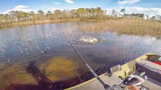 Bed Fishing For B In Shallow Clear Water 50 State Fishing Tour Tx Day Ii