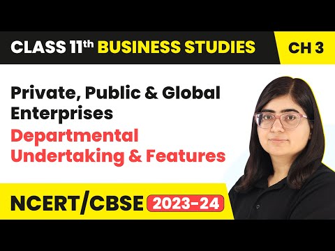 Departmental Undertaking & Features | Class11 Business Studies Chapter 3 | (2023-24)