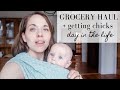 Grocery Haul + Prep | Getting Chicks | DAY IN THE LIFE