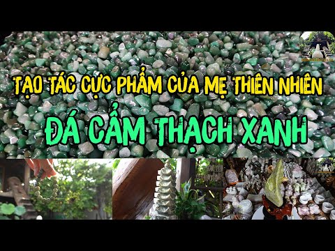 Video: NPP-2006: Dự án nhà máy điện hạt nhân thế hệ mới của Nga