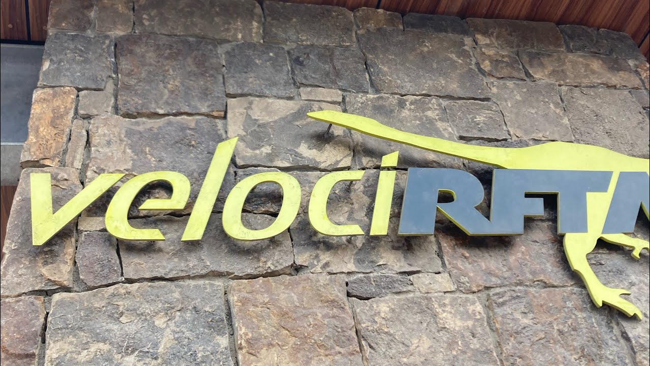 We rode everyone’s favorite dinosaur themed transit agency!