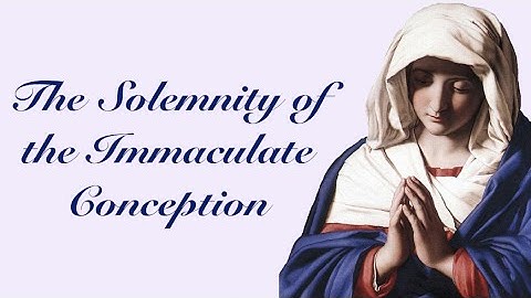 Understanding the Immaculate Conception