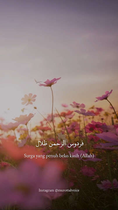 Nasheed 'A Clarification' by Muhammad Muqit (Speed up reverb) #nasheed #shorts