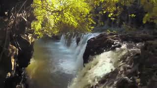 The Travelling Symphony - Savfk (instrumental) - Waterfalls in Mauritius