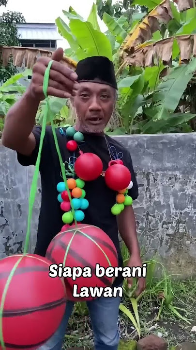 Lato lato kecil sudah biasa #mamayo