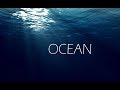 Capture de la vidéo 1 Hour Of Ocean With Thomas Newman