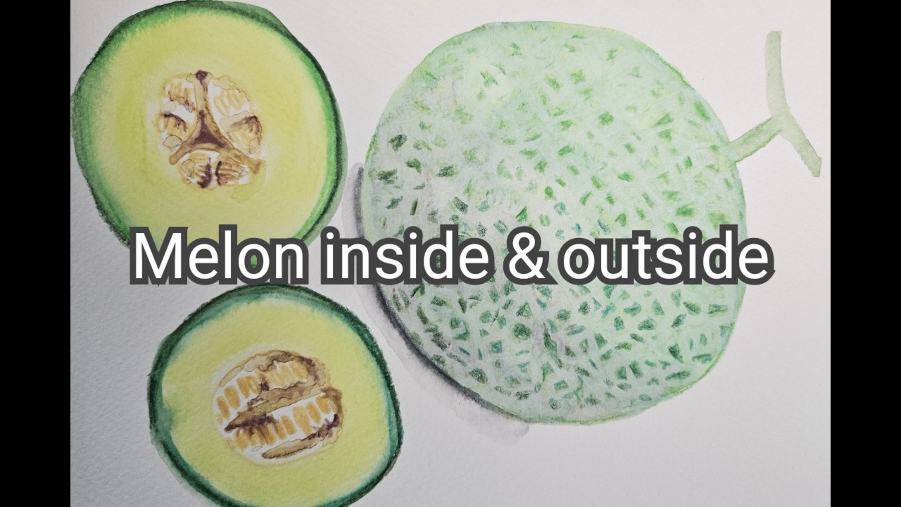 멜론 안과 밖 그리기