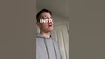 Typical INTP Conversation