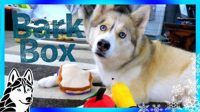 BarkBox Unboxing: March 2016 Sherlock Bones - The Broke Dog