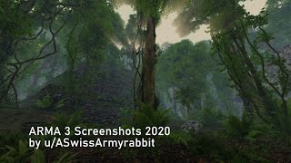 ARMA 3 Screenshot Evolution 2020 | ASwissArmyrabbit