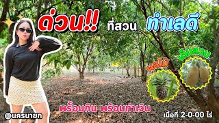 🍏 Orchard with fruit ready for harvest from every tree. Excellent location in a tourist area. [EP...