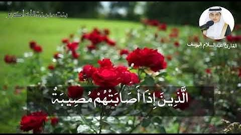القارئ علي عبدالسلام اليوسف⚘⚘/حالات واتس اب آيات قرانية/آيات قران قصيرة/مقاطع ستوريات انستا#قران