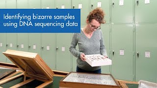 Celebrity Identifying bizarre samples using DNA sequencing data Net Worth