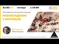 Московский этологический семинар «Рабовладение у муравьев»