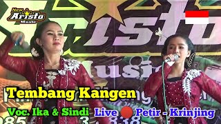 Tembang Kangen || Voc. Ika & Sindi || New Arista Music || Banjarnegara || Live 🔴 Petir - Krinjing