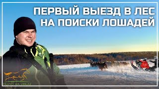 Первое ДТП. Спокойные деньки для нас закончились / Выезжаем на поиски наших Башкирских лошадей