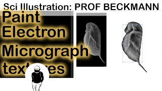 Scientific Illustration: Mimic Electron Micrograph Texture