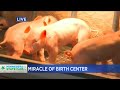 A state fair tradition miracle of birth center