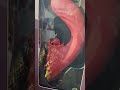 Tide Thrusting Vibrator by Kissen