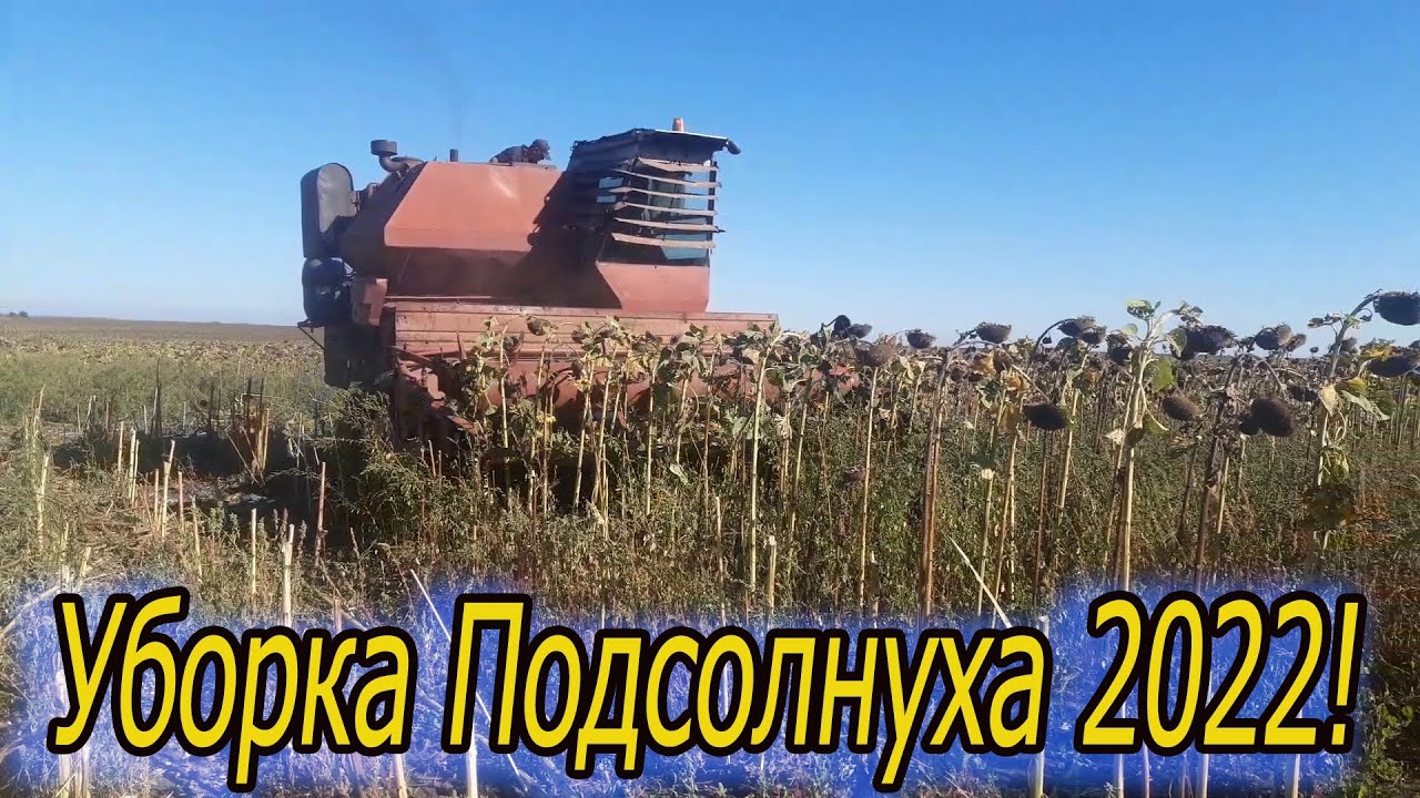 Решето нижнее нива ск5 Решето нижнее нива ск5