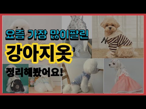 강아지옷 추천 판매순위 Top10 || 가격 평점 후기 비교