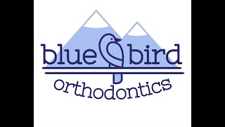 Sugar House Chamber Business Stories: Bluebird Orthodontics