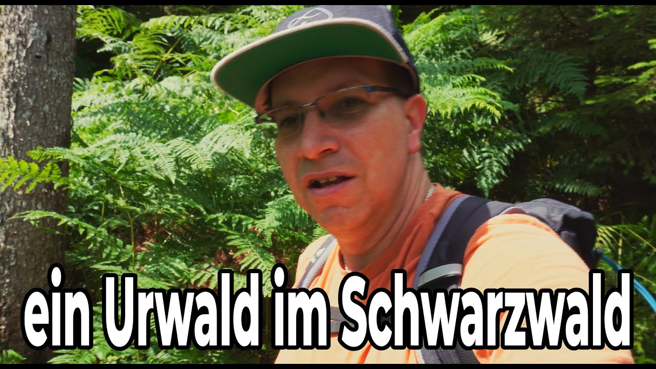 Wie im Urwald,  Bärlochkar