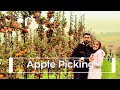 Apple Picking at Bates Family Farm