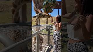 Living Desert Zoo - Palm Desert