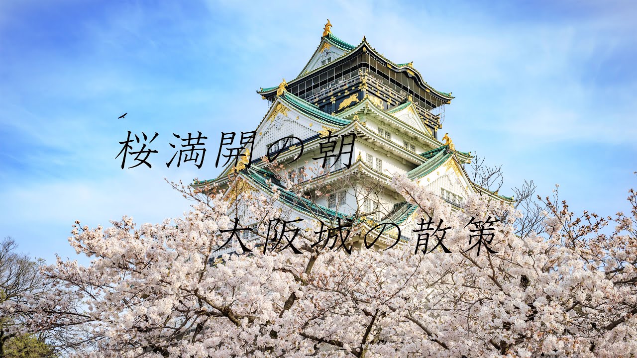 Osaka Castle Park in Full Bloom｜Quiet Early Morning Walk｜Spring｜No Talking | UsagiFilm