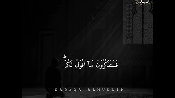 حالات واتس اب تلاوة مبكية || وافوض امري الى الله || فادي الدالي