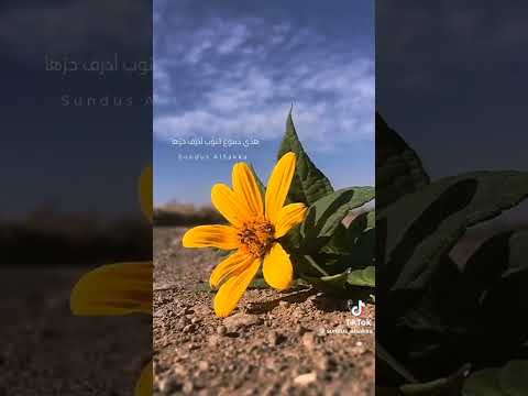 ان لم تكن قربي وترحم خافقي